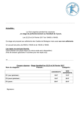 Handball-stage f&eacute;vrier 2017 - Association des Cadets de Bretagne