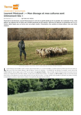 Des blés rustiques pour la farine et des moutons - Terre-net