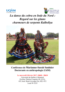 conference_marianne ( PDF - 284 ko) - IEIM-UQAM