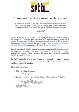 Programmes d`incubation presse : quels besoins