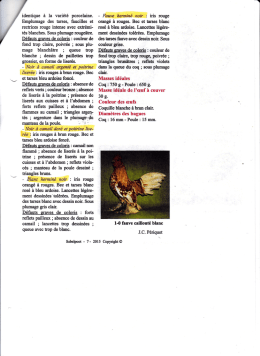 Standard sabelpoot 7