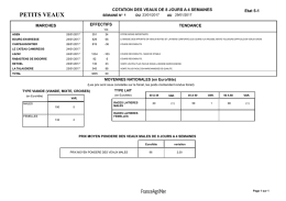 petits veaux - agri