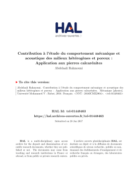 THESE-RAHMOUNI ABDELAALI - TEL (Th&egrave;ses-en-ligne)