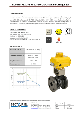 robinet 752-753 avec servomoteur electrique sa