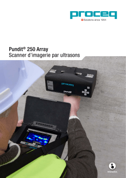 Pundit 2 Array Brochure