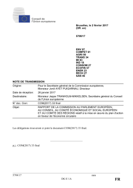 COM(2017) 33 final