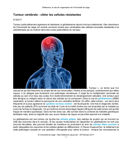 Article en pdf - Reflexions - .: ULg, source de savoirs :.