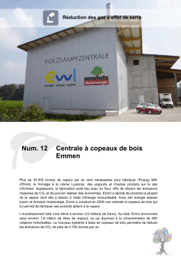 Num. 12 Centrale à copeaux de bois Emmen