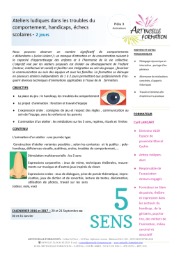 Ateliers ludiques dans les troubles du comportement