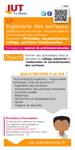 LP Ing&eacute;nierie des surfaces