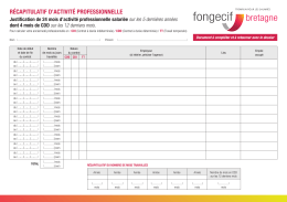 récapitulatif d`activité professionnelle