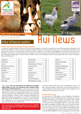 Bulletin AviNews N°25 du 31 janvier 2017