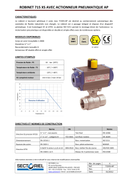 ROBINET 771 XS AVEC ACTIONNEUR PNEUMATIQUE AP