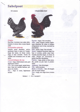 Standard sabelpoot 1