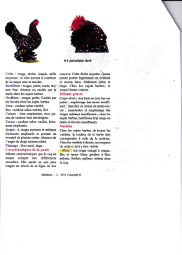 Standard sabelpoot 2