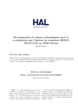 D&eacute;veloppement de briques technologiques pour la co