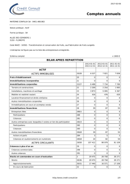 Comptes annuels 401408863 - credit