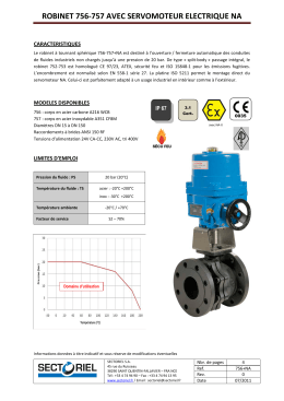 robinet 756-757 avec servomoteur electrique na