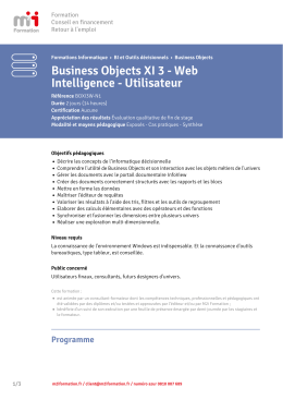 Business Objects XI 3 - Web Intelligence - Utilisateur