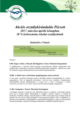 Részletes ismertető letöltése - egész napos program - Duna