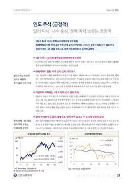 인도 주식 (긍정적)