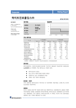 하이트진로홀딩스