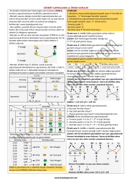 DİHİBRİT ÇAPRAZLAMA ve ÖRNEK SORULAR