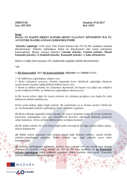 Bağlı Ve Hakim Şirket Raporlarının Faaliyet