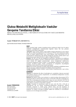 Glukoz Metaboliti Metilglioksalin Vasküler Gevşeme