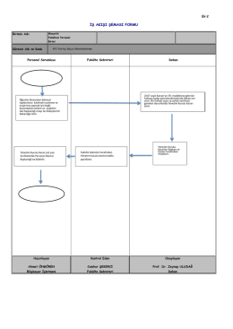 iş akışı şeması formu