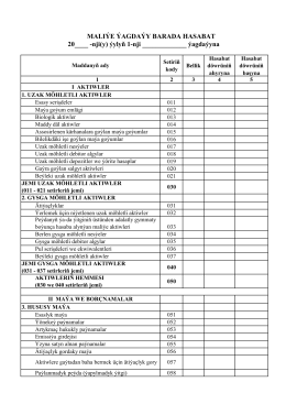 MALIİE İAGDAİY BARADA HASABAT 20____ -nji(y) ıylyň 1