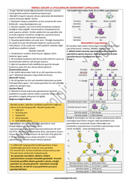 Monohibrit Çaprazlama