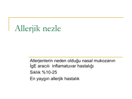 Allerjik nezle