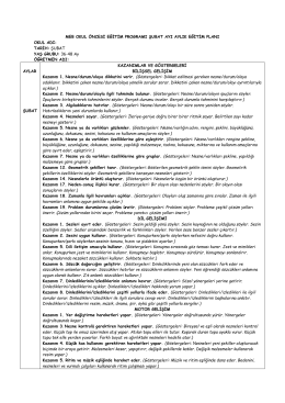 Şubat 2017 G&uuml;nl&uuml;k Plan