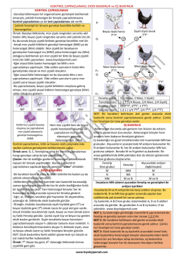 KONTROL ÇAPRAZLAMASI, EKSİK BASKINLIK ve EŞ BASKINLIK x x