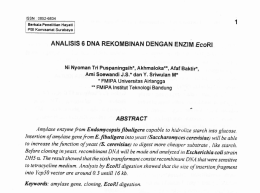 ANALISIS 6 DNA REKOMBINAN DENGAN