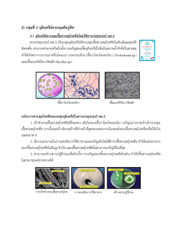 2) กลุ  มที่2 จุลินทรีย  ควบคุมศัตรูพืช 2.1 จุลินทรีย  ควบคุมเชื้อสาเหตุโรคพืช