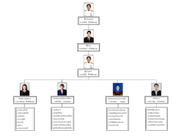 โครงสร้างองค์กร