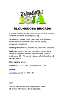 Dlouhodob&aacute; brig&aacute;da