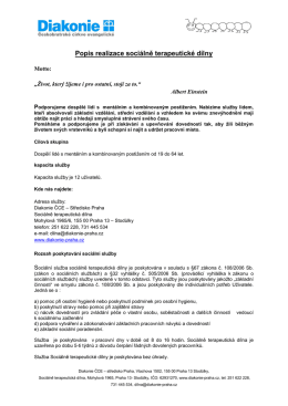 STD POPIS REALIZACE 9.1.2017