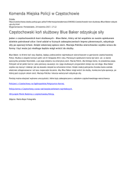 Generuj PDF - Komenda Miejska Policji w Częstochowie