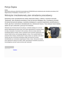 Policja Śląska Wdrożyła (nie)doskonały plan okradania pracodawcy