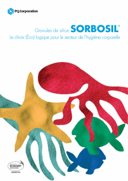 Granules de silice SORBOSIL&reg; Le choix (&Eacute;co - In