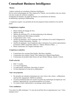 Consultant Business Intelligence - Marcq-en