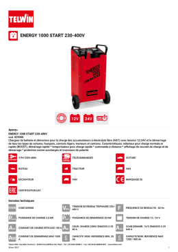 energy 1000 start 230-400v