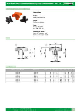 06161 &Eacute;crou croisillon en fonte rev&ecirc;tement plastique