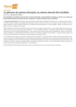 Recherche sur le quinoa - Terre-net
