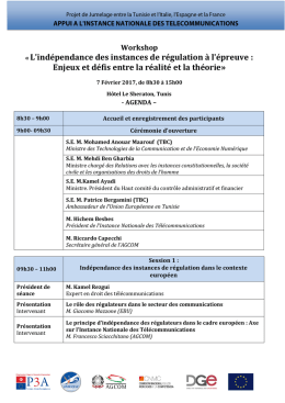 L`indépendance des instances de régulation à l`épreuve : Enjeux et