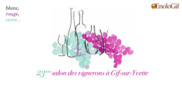Carton d`invitation - Salon des Vignerons | &agrave; Gif-sur