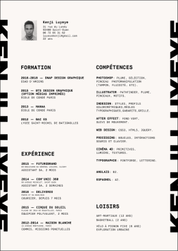 CV  - Kenji Luyeye